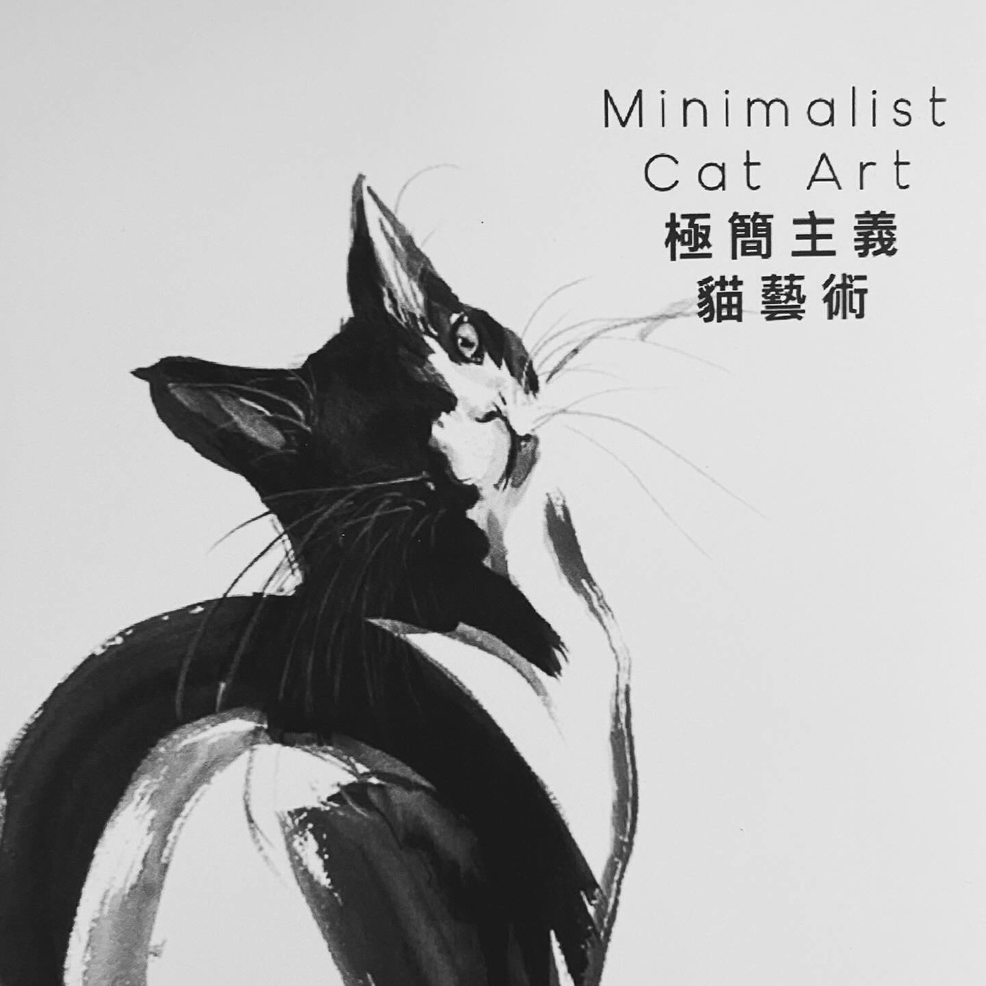 魔兽新手盒子编辑组作者头像